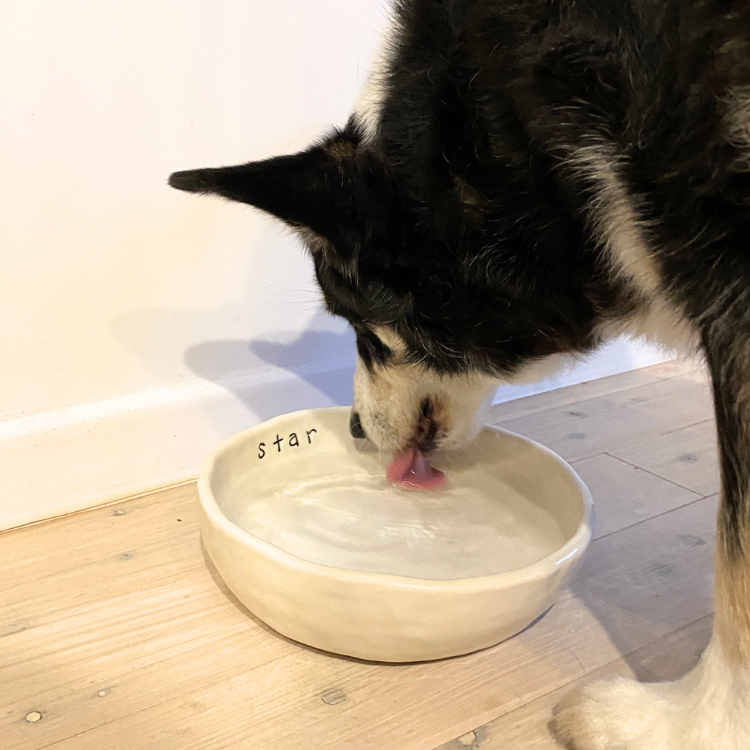 Pet Bowl Pottery Workshop (date to be advised)