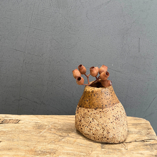 Organic small Vase (only 1 available)